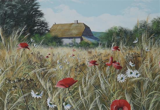 Paul Evans Cottage viewed through grasses 32 x 46cm.